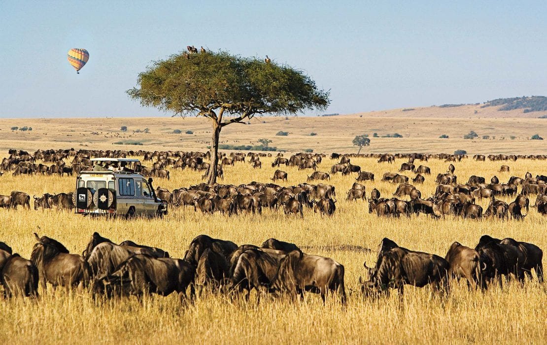 maasai mara 1110x700 1