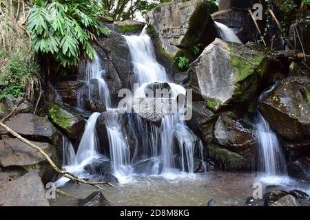 river mbagathi waterfall in oloolua nature trail in karen kenya 2d8m8kg